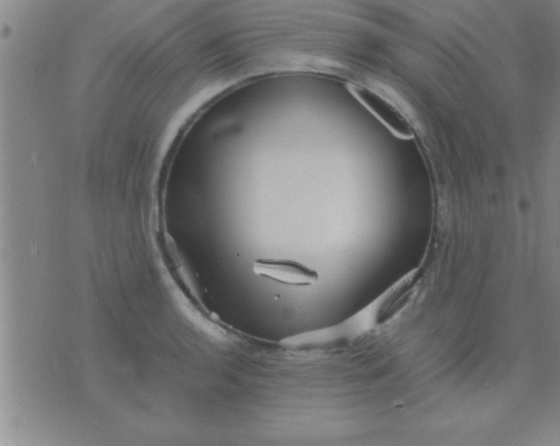 X0000075821136200610061750