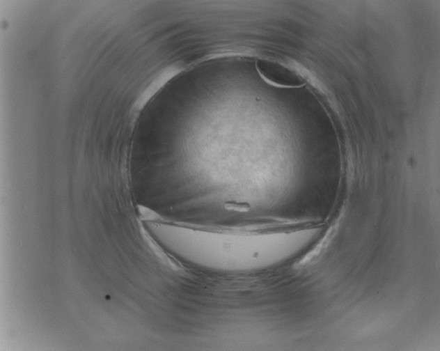 X0000075821137200610061750