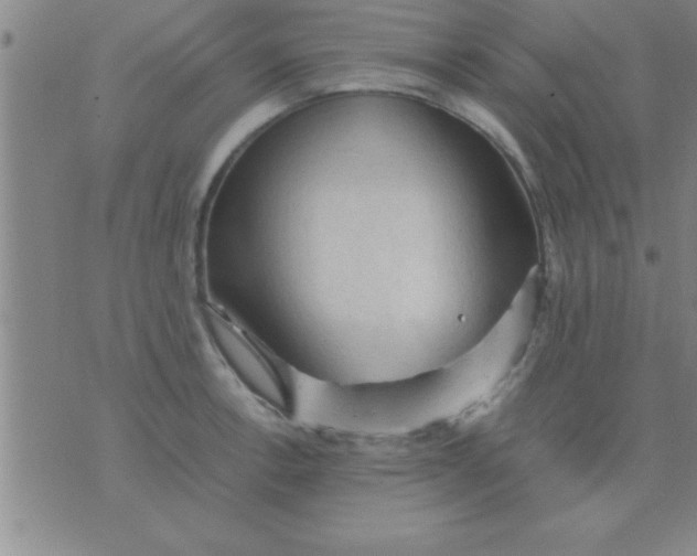 X0000075821138200610061750