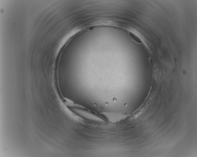 X0000075821139200610061750