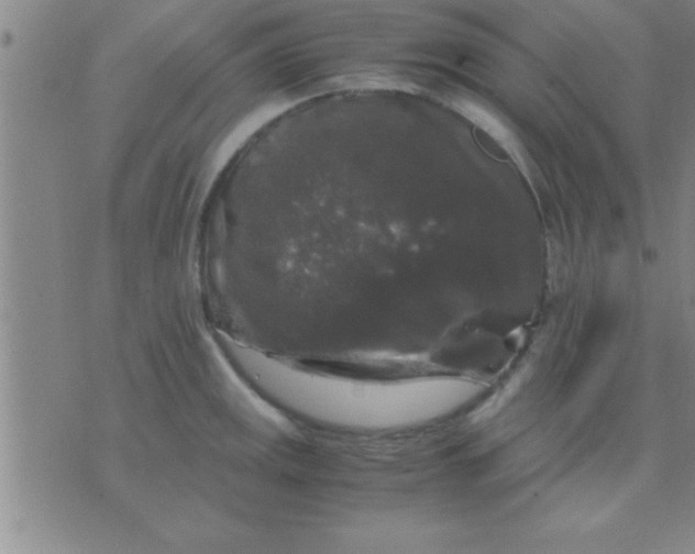 X0000075821141200610061750