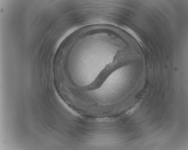 X0000075821142200610061750