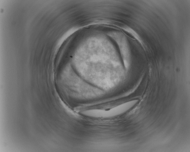 X0000075821143200610061750