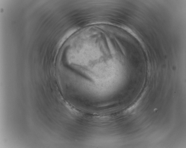 X0000075821145200610061750