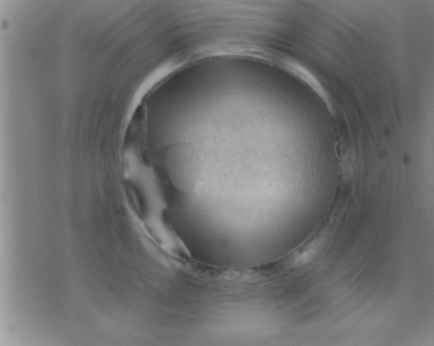 X0000075821146200610061750