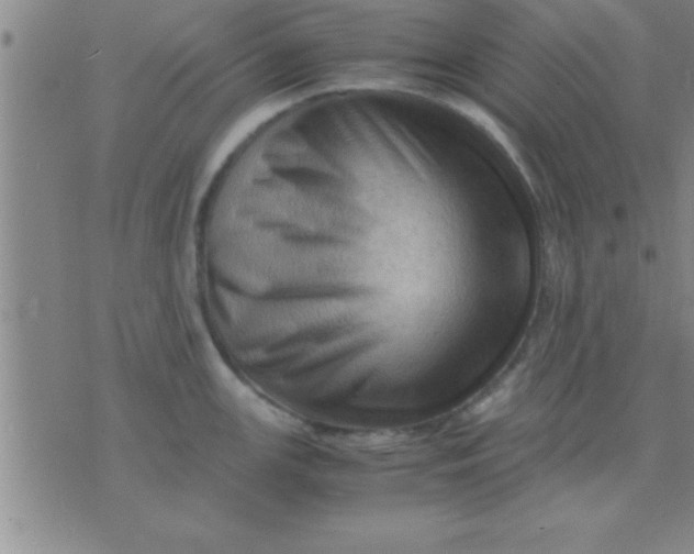 X0000075821147200610061750