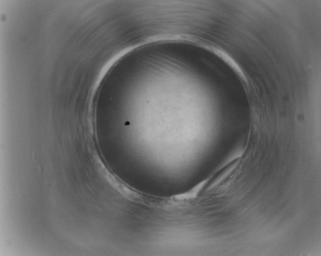 X0000075821148200610061750