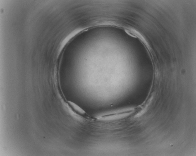 X0000075821149200610061750