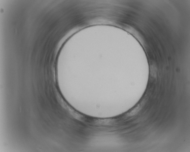 X0000075821150200610061750