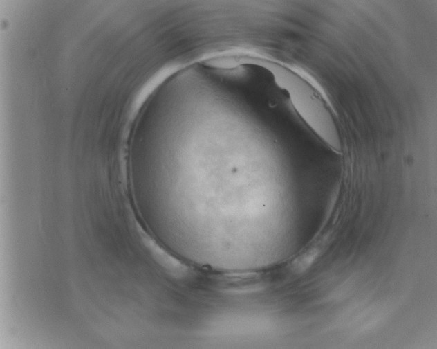 X0000075821151200610061750