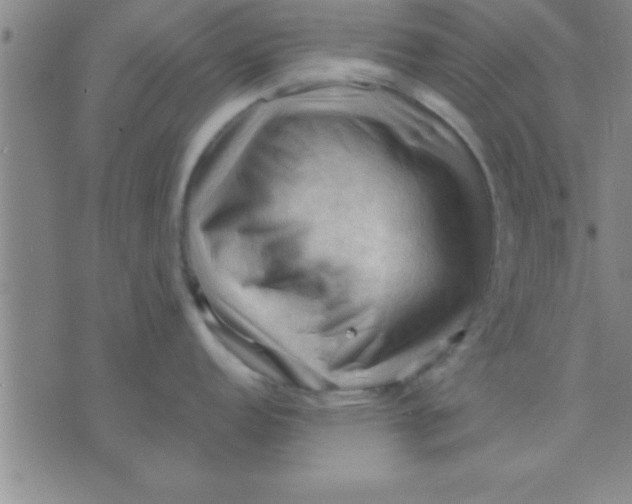 X0000075821152200610061750