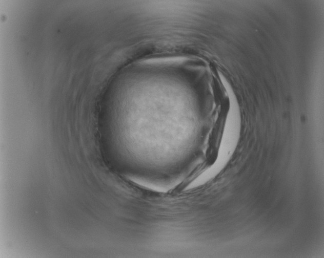 X0000075821153200610061750