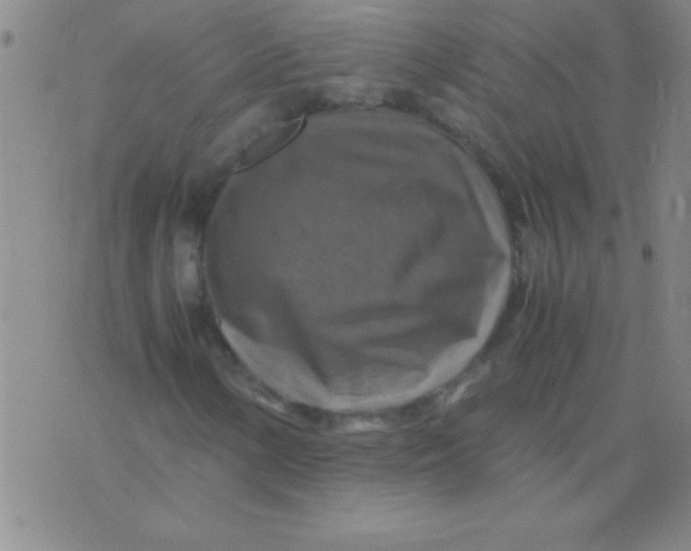 X0000075821154200610061750