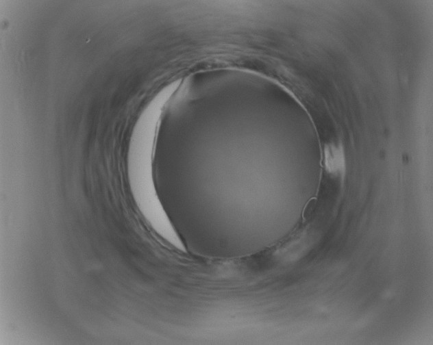 X0000075821155200610061750