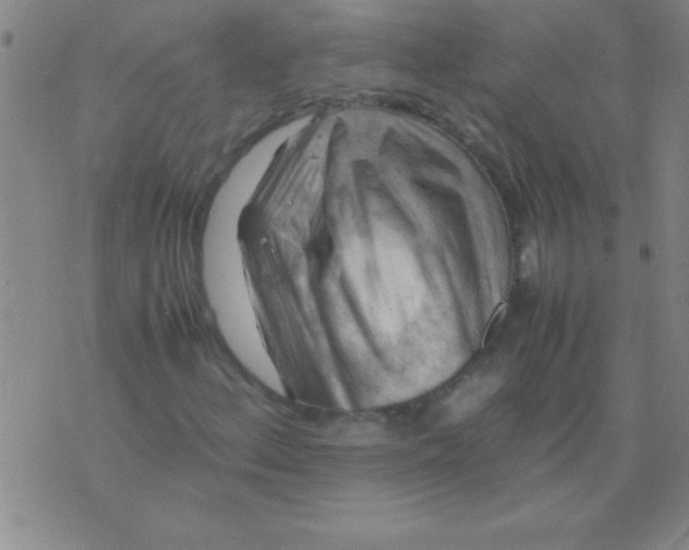 X0000075821156200610061750