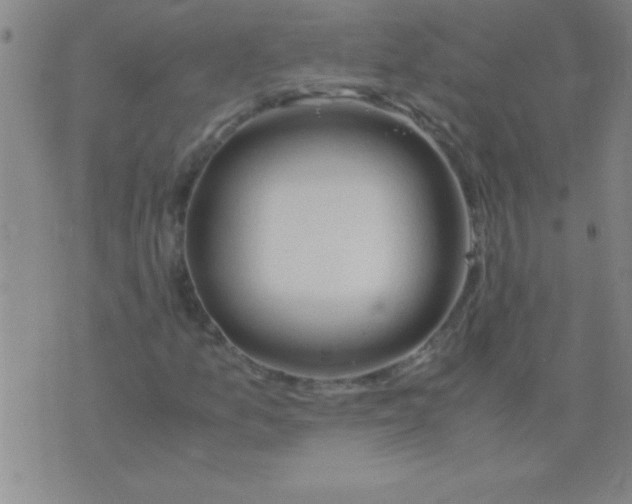 X0000075821157200610061750