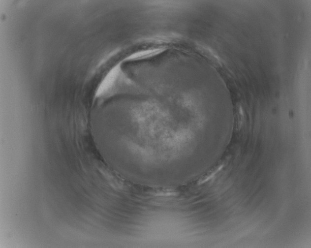 X0000075821158200610061750