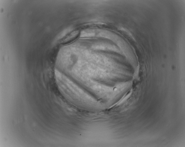 X0000075821159200610061749