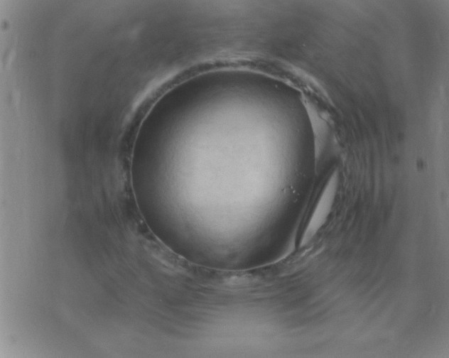 X0000075821160200610061749