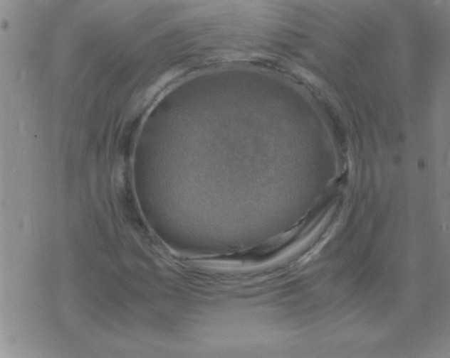 X0000075821161200610061749