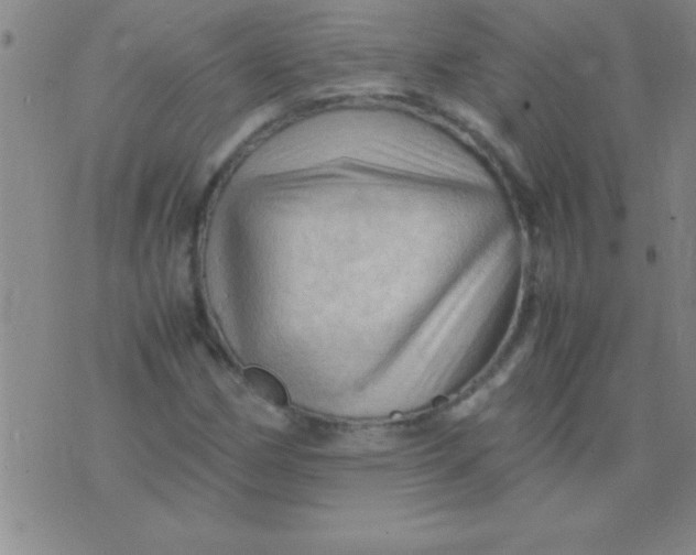 X0000075821162200610061749