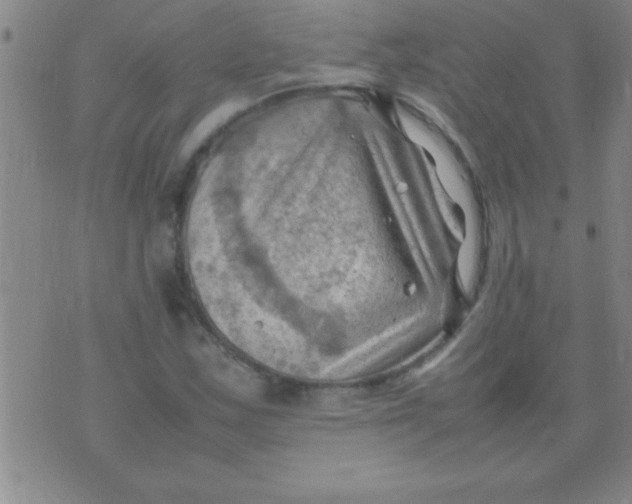 X0000075821163200610061749