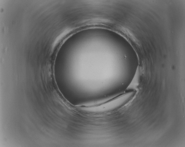 X0000075821164200610061749