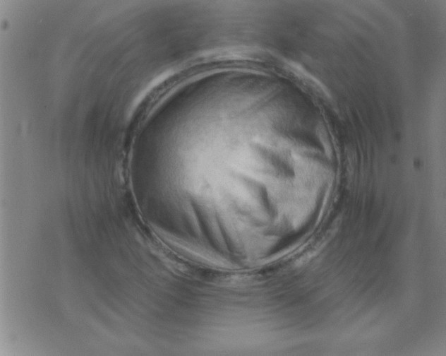 X0000075821166200610061749