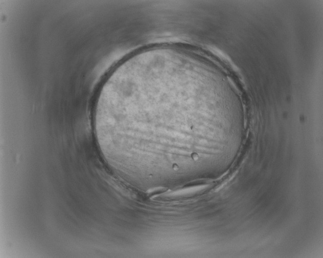 X0000075821167200610061749