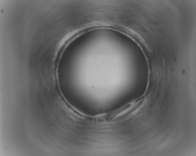 X0000075821168200610061749