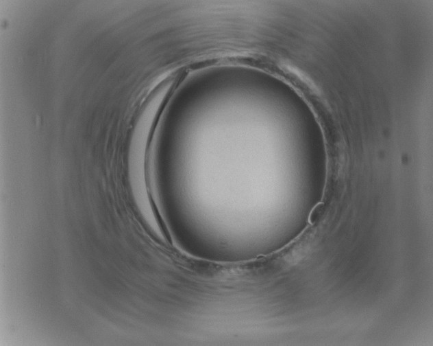 X0000075821169200610061749