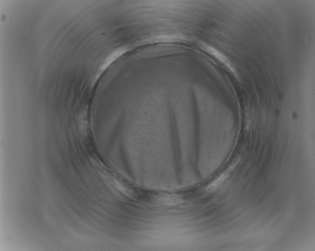 X0000075821170200610061749