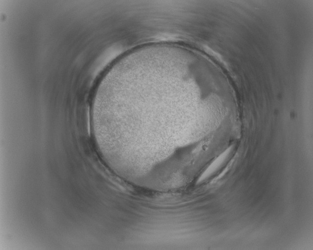 X0000075821171200610061749