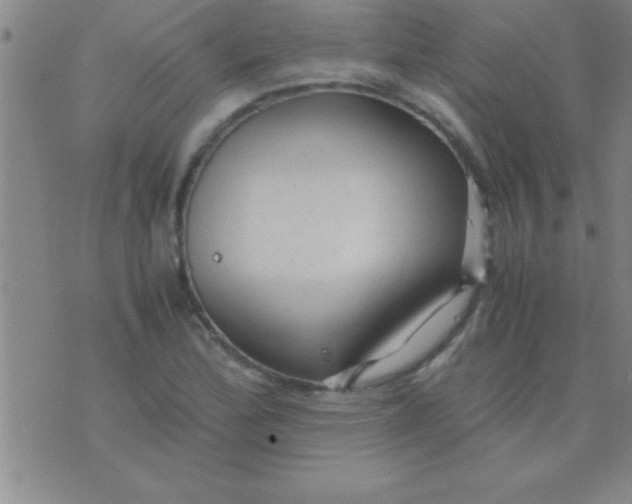 X0000075821172200610061749