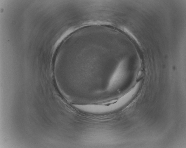 X0000075821173200610061749