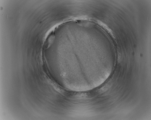 X0000075821174200610061749