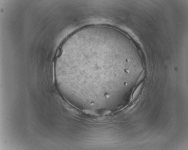 X0000075821175200610061749