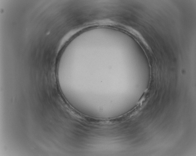 X0000075821176200610061749