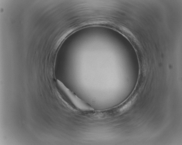 X0000075821177200610061749