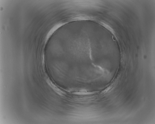 X0000075821179200610061749