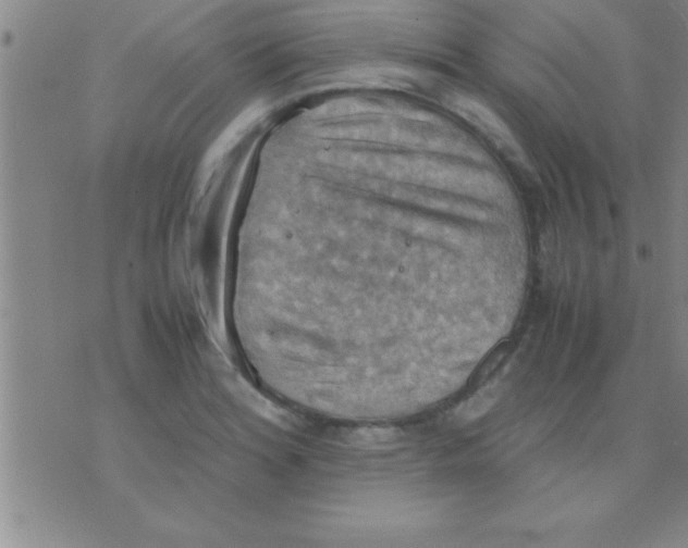 X0000075821180200610061749