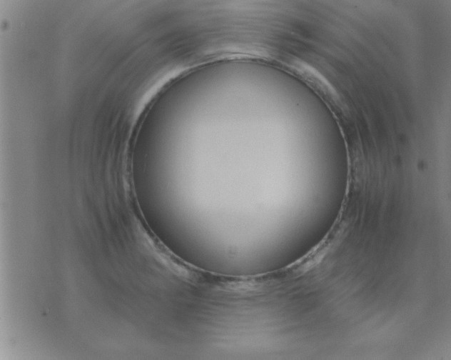 X0000075821182200610061749