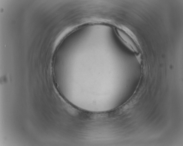 X0000075821183200610061749