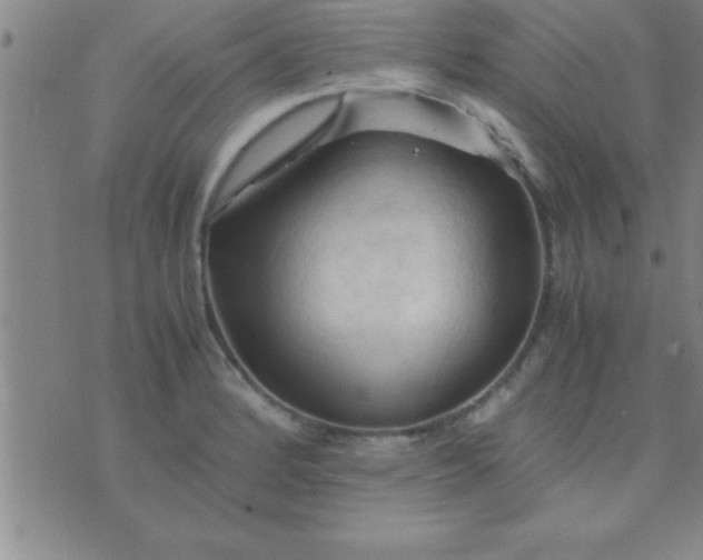 X0000075821184200610061749