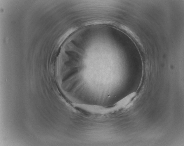 X0000075821185200610061749