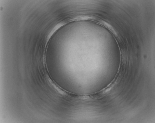 X0000075821186200610061749