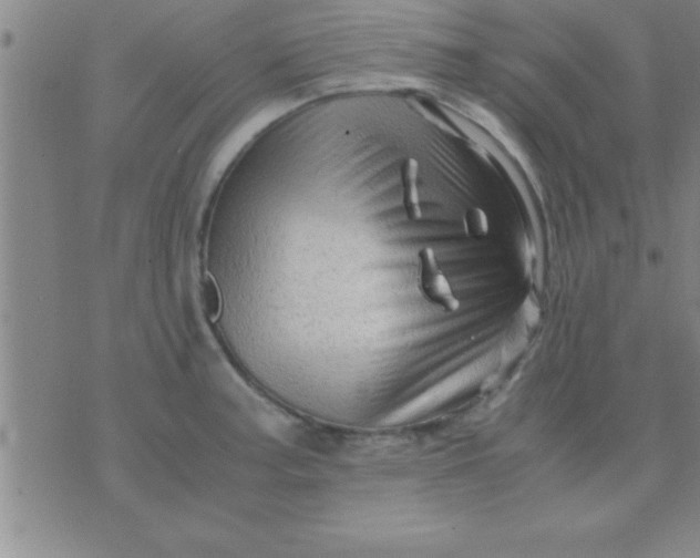 X0000075821187200610061749