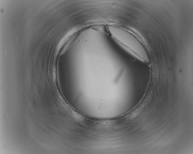 X0000075821188200610061749