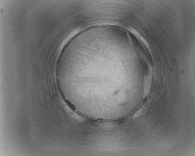 X0000075821189200610061749