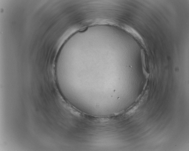 X0000075821190200610061749